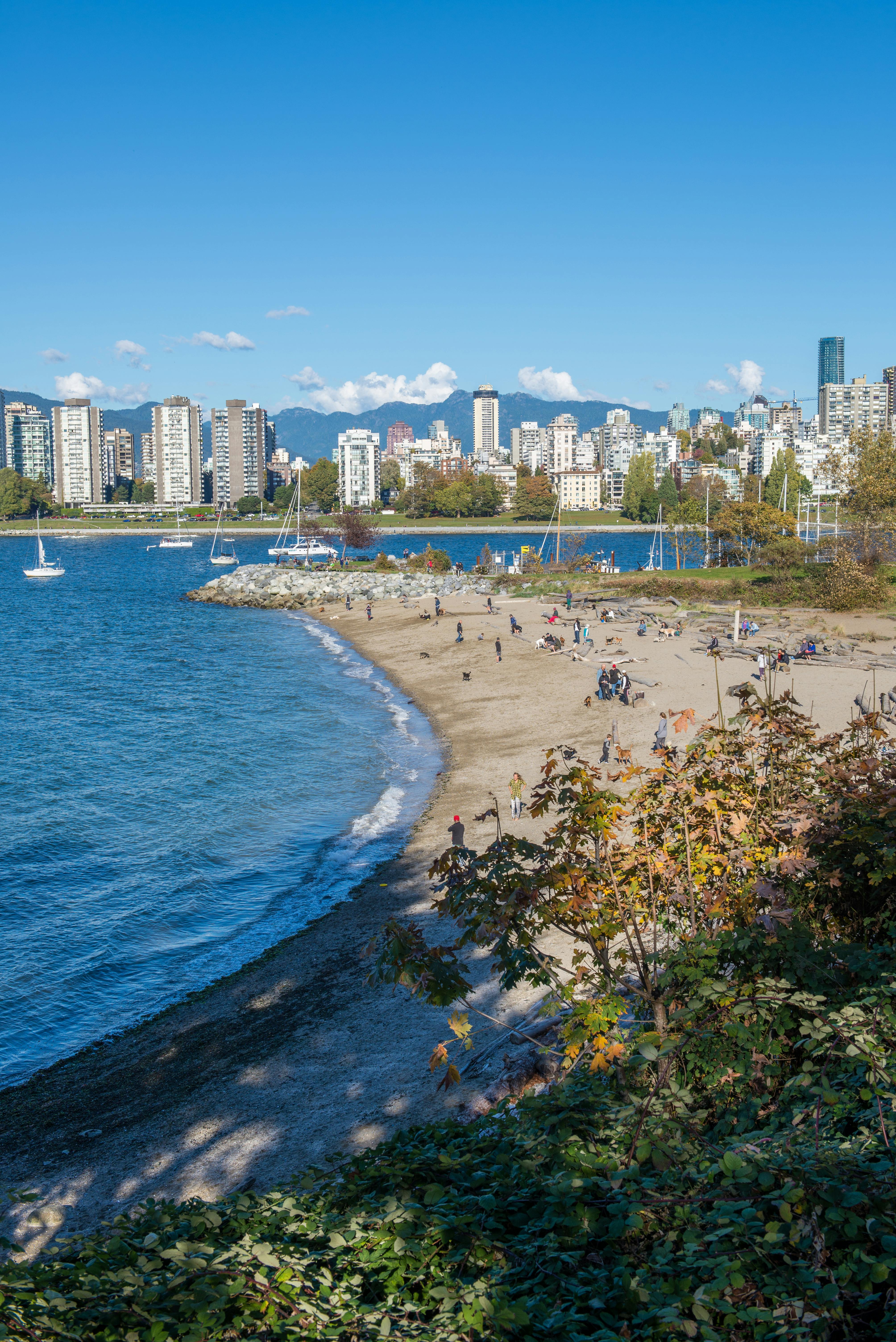 Finding the Right Swimwear in Vancouver Is Harder Than It Should Be