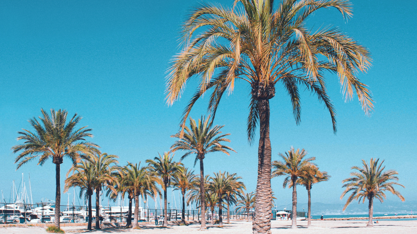 micro kini sparkle ubbikini