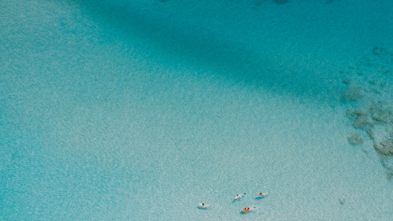 thong bikini bottom ubbikini