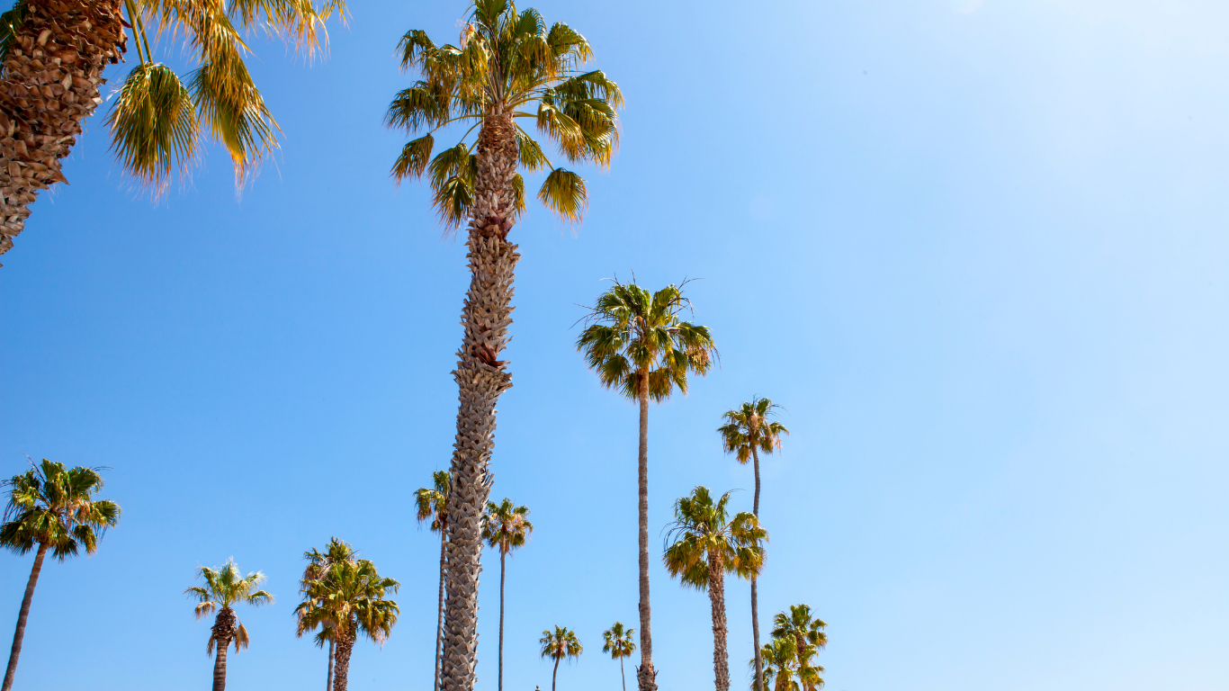 colorful watercolor bikini thong bottom